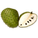 20pcs seeds soursop Durian Tropical Fruit garden Bonsai OZ