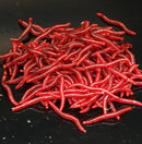 100 Pcs Soft Red Earthworm Fishing Bait Worm Lures Crankbaits Hooks Tackle Baits