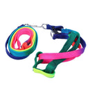 Adjustable Pet Dog Puppy Rainbow Harness Lead Leash Cat Rabbit Kitten Colla