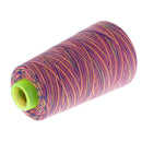 Rainbow Color Polyester Sewing Thread 40s/2 for Hand and Sewing Machine 5#
