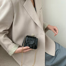 Pure Color Leather Mini Shoulder Bags Women Chain Messenger Bags (Black)