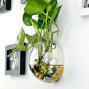 Hydroponic Pot Small  Tank Wall Art Ornament Home Office Pub Bar Decor