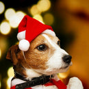 Winter Warm Pet Cat Dog Santa Claus Hat Christmas Xmas Plush Cap Decor Supply