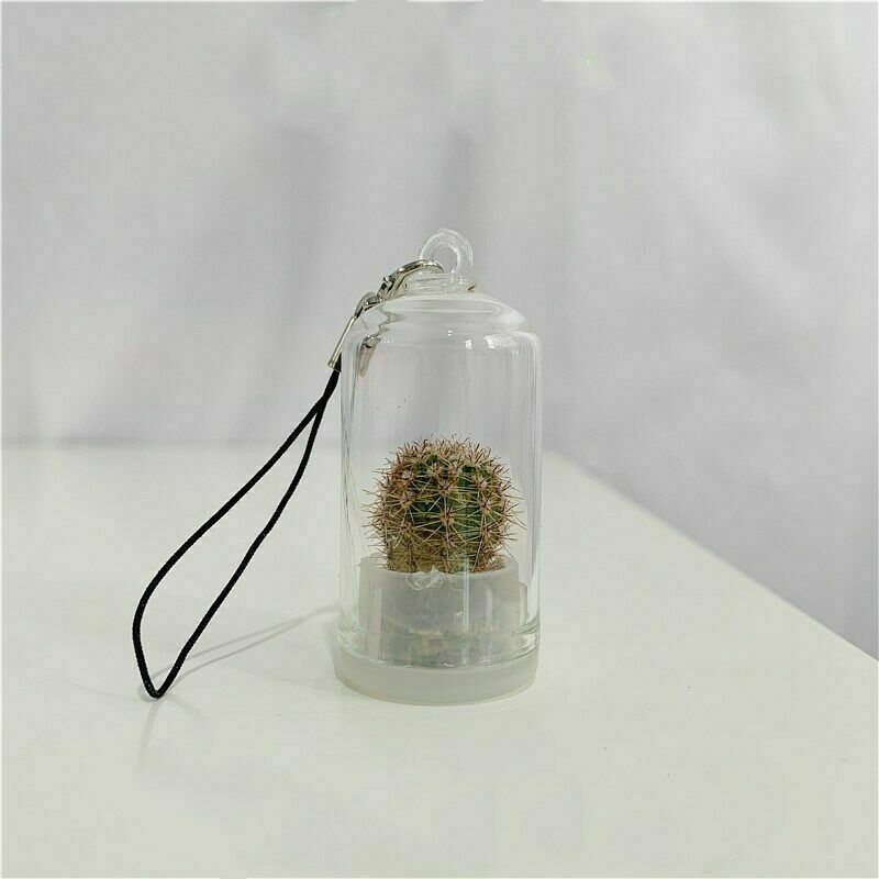 2Pcs Cute Mini Cactus Plant Keychain Keyring Charm Smartphone Pendant Chain