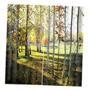 2x Blackout Window Curtain Darkening Bath Drape Voile Sheer w/ Hook Ring 01