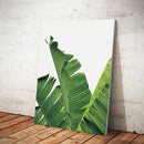 Tropical Palm Leaf Print Banana Leafs Wall Art Painting Picture on Canvas S