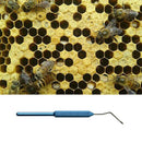 3pcs Beekeeping Needle Queen Rearing Grafting Tool Diameter Bee Hive Scraper