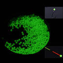 100Pcs 5mm Round Luminous Glow Rig Beads Sea Fishing Lure Lures Floating Tackles