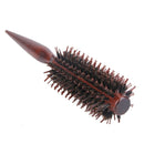 Curly Hair Comb Radial Brush Wood Handle Bristle Anti-static Hairdressing