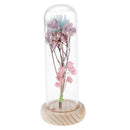 Glass Display Cloche Jar Dome Flower Immortal Preservation Vase Ornament