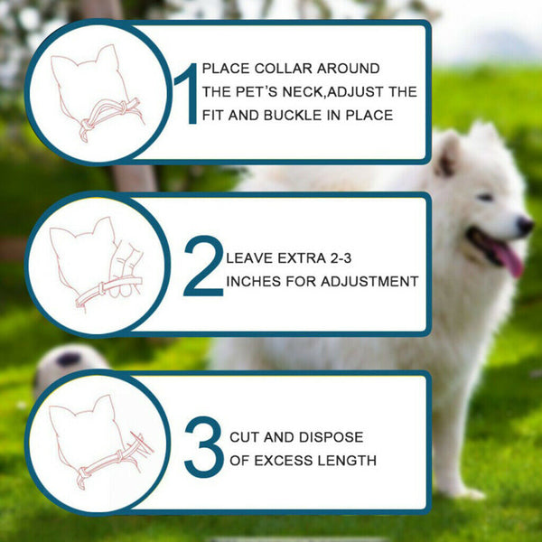 Flea & Tick Collar for Cats and Dogs Repels Fleas,Tick Cat Flea  Tick Collar