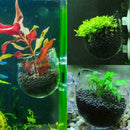 Microcosmic Shrimp Aquarium Tank aquatic Crystal Glass Pot Plant Cute Decor L3E5