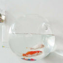 8 x Wall Mounted Transparent Glass Hydroponic Vase Terrarium Container - Ball -