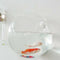 8 x Wall Mounted Transparent Glass Hydroponic Vase Terrarium Container - Ball -