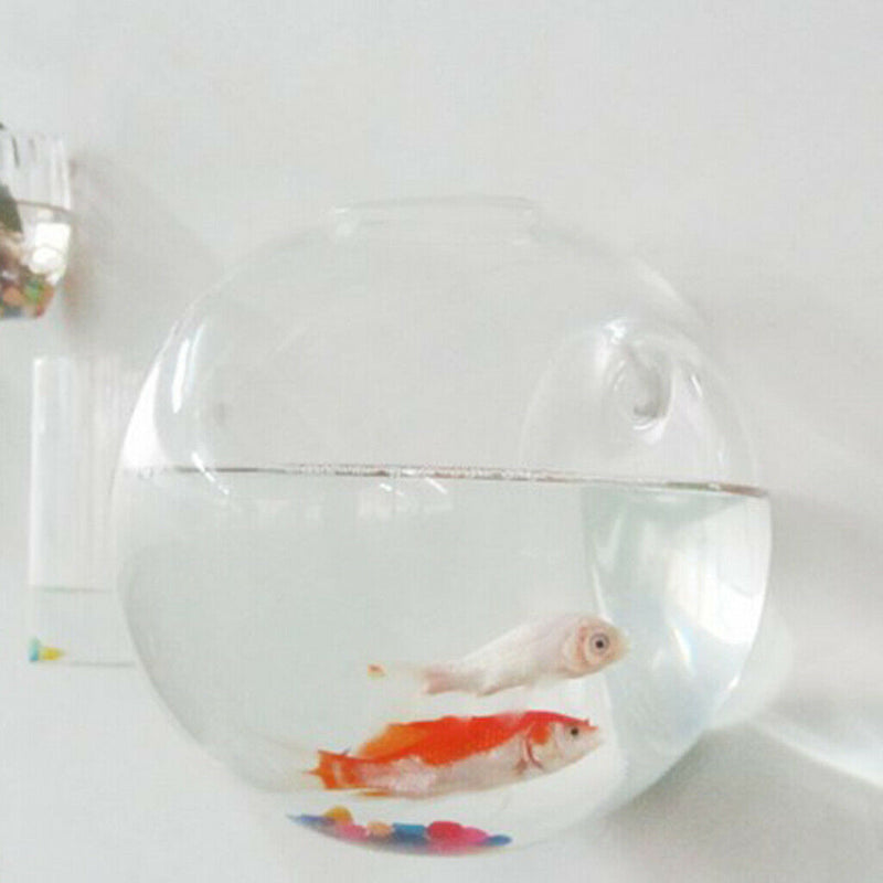 8 x Wall Mounted Transparent Glass Hydroponic Vase Terrarium Container - Ball -