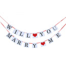 Romantic Bridal Shower Banner & Latex Balloons Will You Marry Me Theme Party