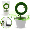 Plant Air Purifier Remove Air Pollutant And Allergen Smoke, Dust, Pollen, P