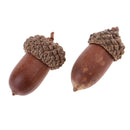 10 pieces of beautiful acorns mini dried oak nuts fruits home wedding christmas
