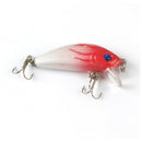 5Pcs Hard Lures Insect Shape Artificial Baits Grasshopper Lures and Minnow Baits