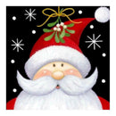 5D DIY Full Drill Diamond Painting Santa Claus Cross Stitch Embroidery Kits