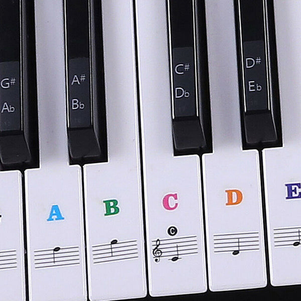 Keyboard Piano Multicolor Removable Piano and Keyboard Stickers for 49 61 76 N3C
