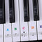 Keyboard Piano Multicolor Removable Piano and Keyboard Stickers for 49 61 76 N3C