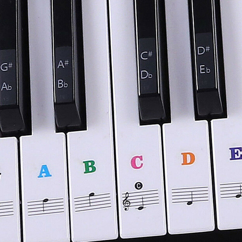 Keyboard Piano Multicolor Removable Piano and Keyboard Stickers for 49 61 76 N3C