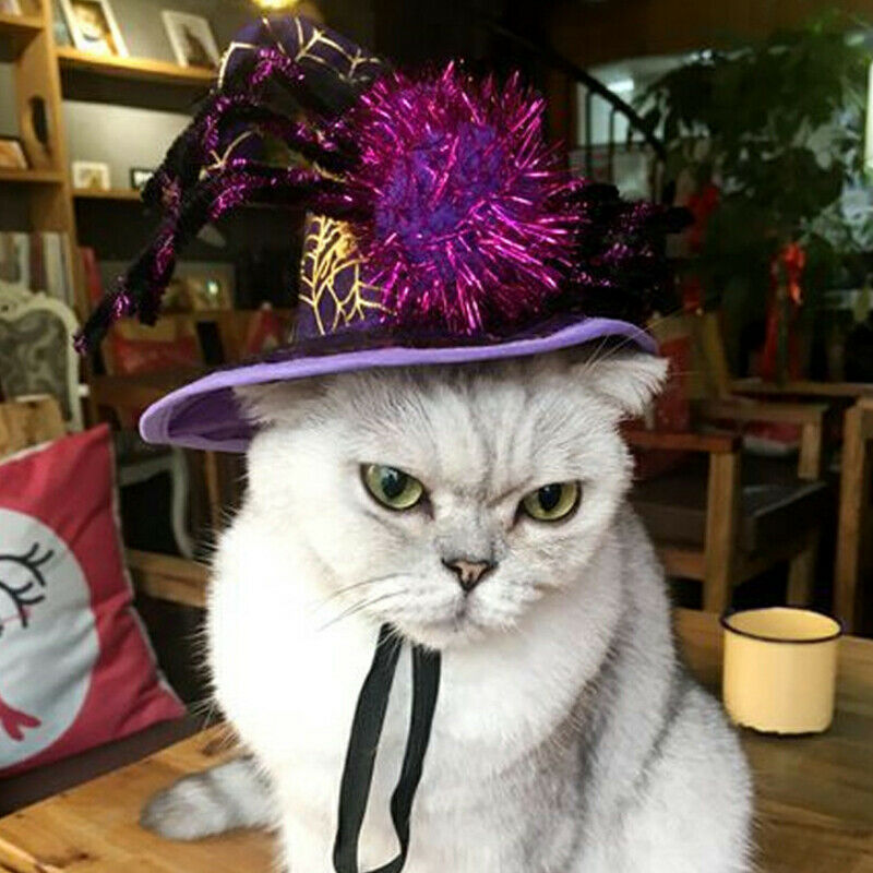 Halloween Pet Supplies Pet Dog and Cat Ornaments Halloween Pet Spider Hat W