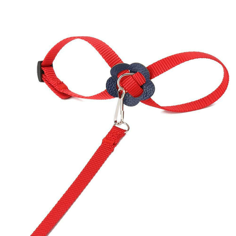 Parrot Leash Adjustable Harness Bird Anti Fly Outdoor Training Rope (Red) A