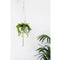 Macrame Plant Hanger 2Pcs Indoor Outdoor Wall Hanging Planter Basket - Cott