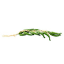 Best Artificial (TM) Chilli String Hot Peppers Hanging String Home Decor Ve R2R5
