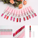 10 Colors/Set Cosmetic Makeup Pink Rod Lip Gloss Long Lasting Lipstick Gifts
