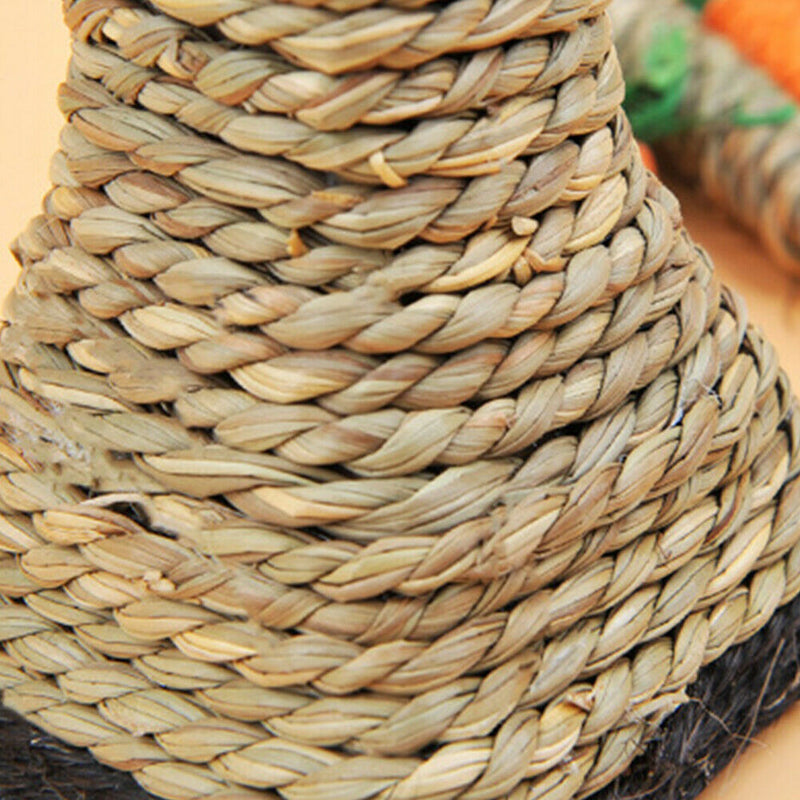 Cat Climbing Frame Funny Kitten Teeth Care Tower Shelves Scratching Post Carrot