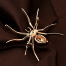 Women Special Spider Pin Brooch Set Zircon(Red)