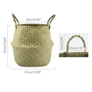 Natural Seagrass Belly Basket, 31Cm Collapsible Handmade Plant Pot Planter