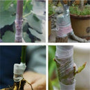 200M*2.5cm Nursery Grafting Tape Roll Stretchable Self-adhesive Degradable White