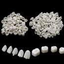 2 Packs Dental Temporary Crown Material For Anterior + Molar Teeth Veneers Ew