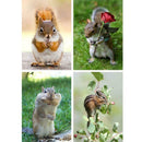 4 Pack Squirrel DIY 5D Diamond Painting Kits Full Drill Cross Stitch Home  Decor