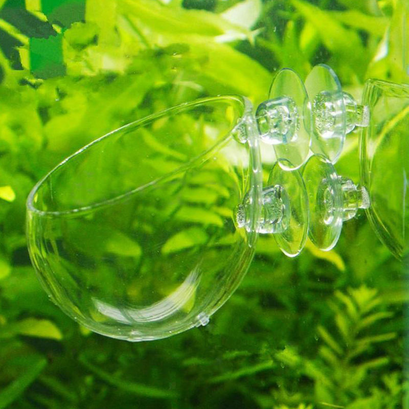 4pcs Aquatic   Tank Crystal Glass Plant Pot Glass Sucker Cup Hanging Vase