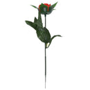 Valentine Gift Never Fade Rose Flower LED Lamp--Red
