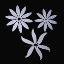 3Pcs/Set Metal Leaves Cutting Dies Stencils For DIY Scrapbooking Embossing hv2n