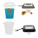 Feeding Ring For Aquarium And Feeder For  , Square By Suction Cup