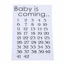 3x Multi-colors Baby is Come Print Cloth Stickers Birth Countdown for T-s DYT