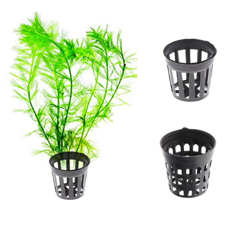100pcs Reusable Durable Aquatic Plant Basket Water Grass Cultivate Cups M