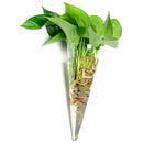 Cone Hanging Glass Flower Planter Vase Terrarium Container Home Garden Deco