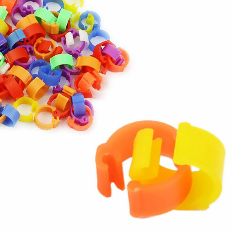 Bird Leg Bands 8mm Pigeon Chicks Bantam .Poultry Rings Plastic Split Leg  D K1Z0