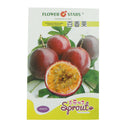 20pcs Tropical Exotic Passion Fruit Seeds Purple Passiflora Edulis GerminationLJ