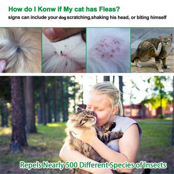 Utility Pet Dog Puppy Cat Elimination Flea Collar Anti-Flea Mosquito Trick Strap