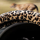 1Pc Leopard Print Plush Car SUV Steering Wheel Cover Keep Warm EPN UJR