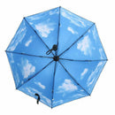 Summer Folding Rainy Umbrella Anti-UV Rainproof Umbrellas Sun Protection Pa
